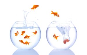 商都縣奶粉有限責(zé)任公司