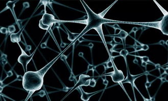 智能合約的核心執行原理與人工智能基礎軟件開發